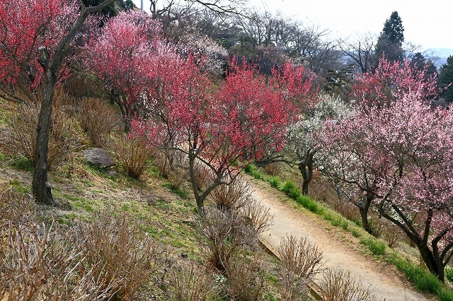 a0242438_20113649.jpg