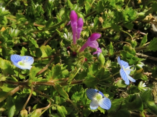 a0018655_15022263.jpg