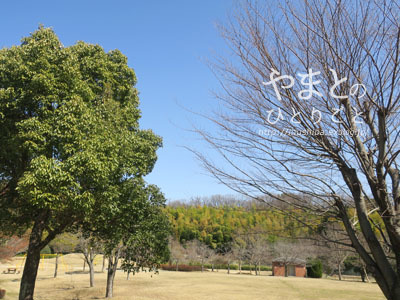 a0286855_06232070.jpg
