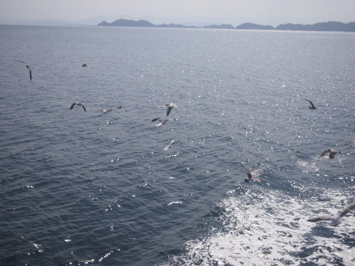 b0246758_22142765.jpg