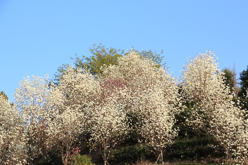 a0167759_234445.jpg
