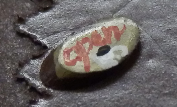 c0222964_21103731.jpg