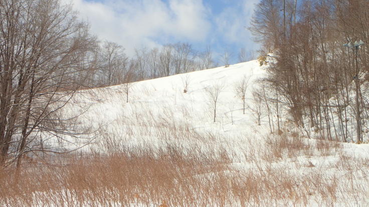 a0242984_00130295.jpg