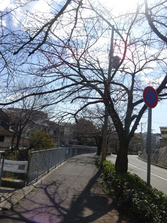 c0168990_17325467.jpg