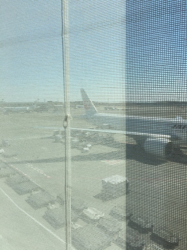 a0107193_10310920.jpeg