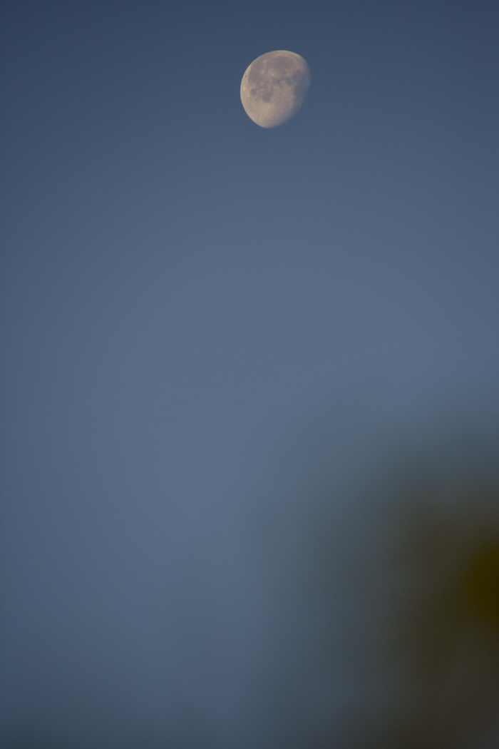 c0049299_22252196.jpg