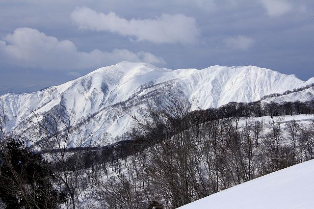e0137200_16262469.jpg
