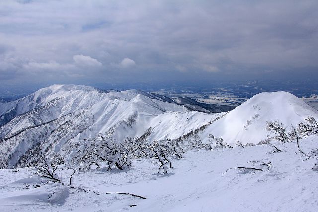 e0137200_1630169.jpg