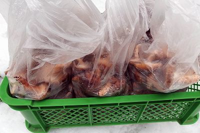 e0137200_16332759.jpg