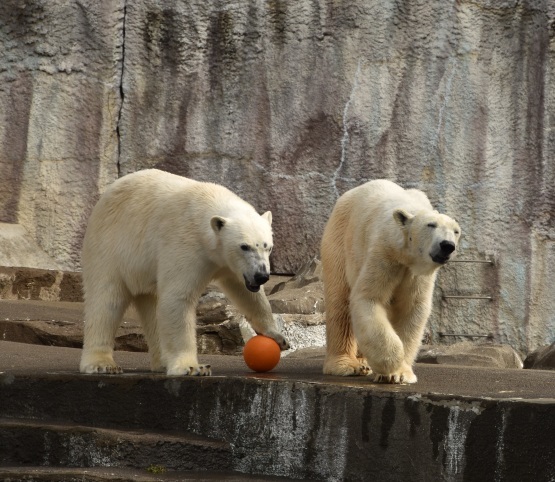 d0090801_19011675.jpg