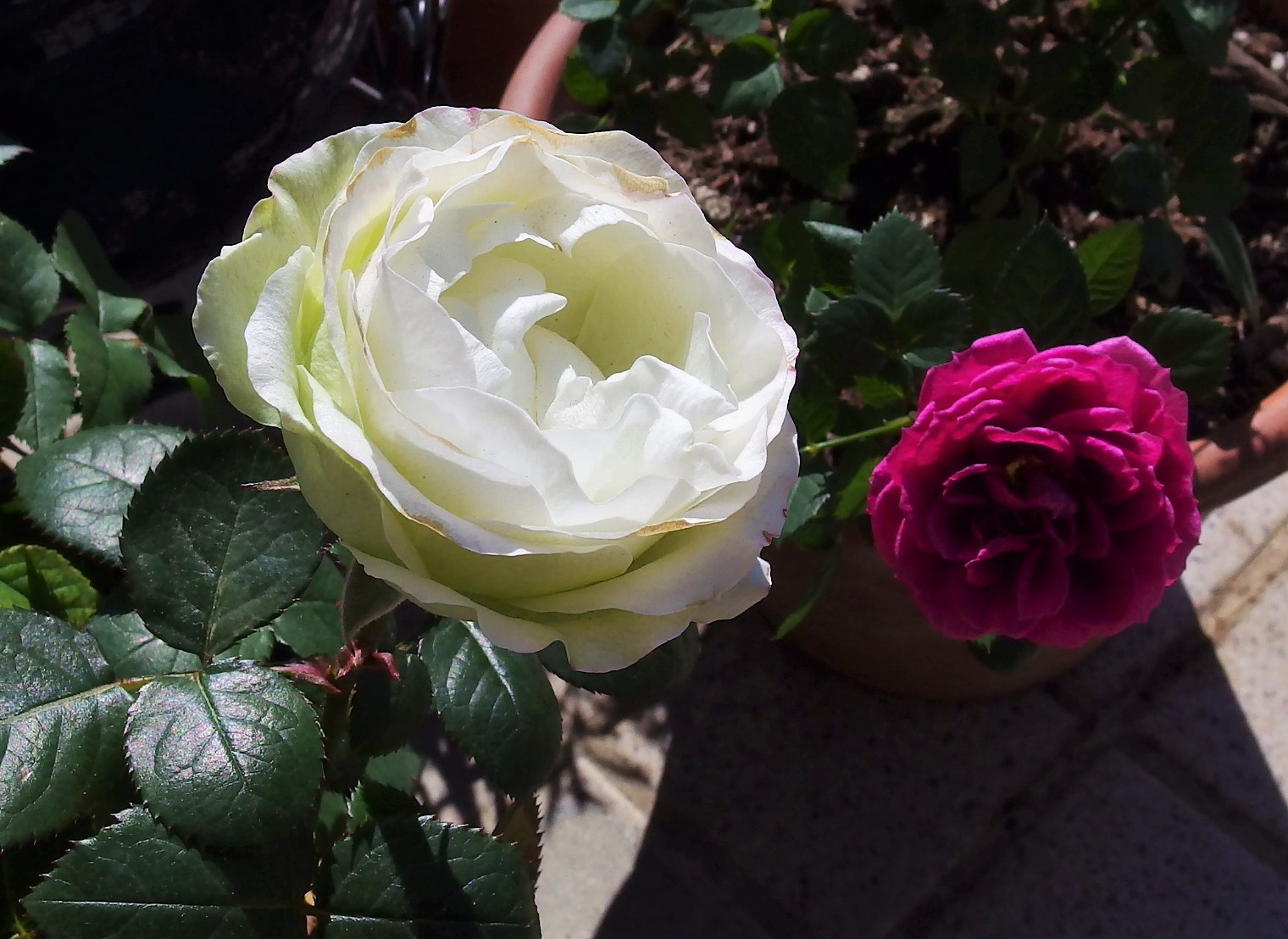 e0349904_09510576.jpg