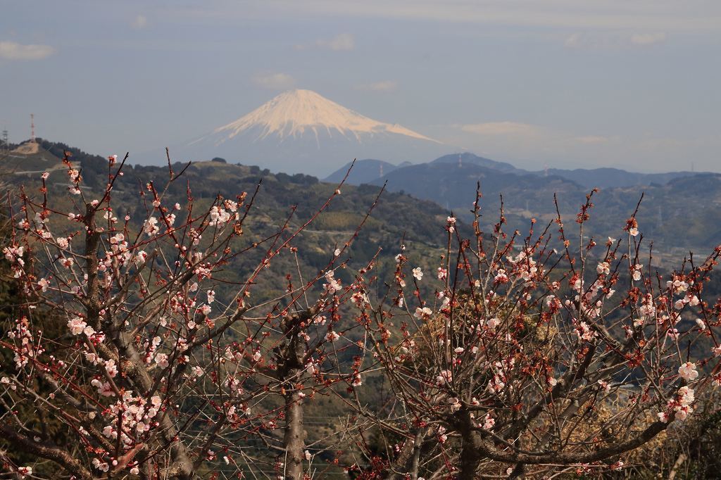 a0188405_16574981.jpg