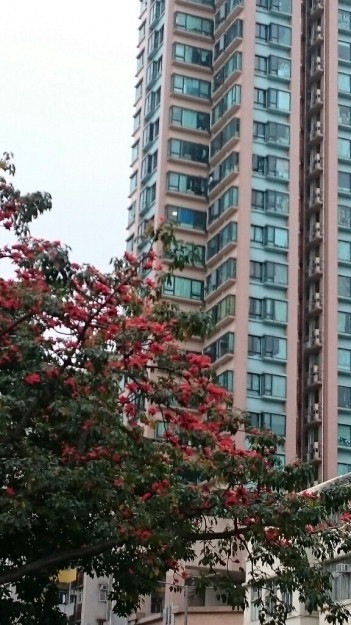 b0009106_21433250.jpg