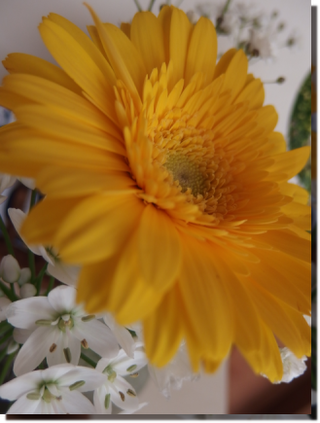 a0114514_19112920.png