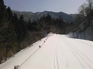 c0359615_17405345.jpg