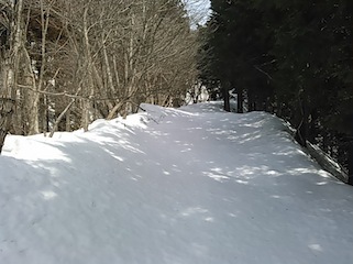 c0359615_17424545.jpg