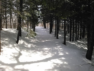 c0359615_17442604.jpg