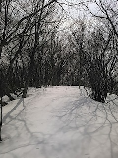 c0359615_17443809.jpg