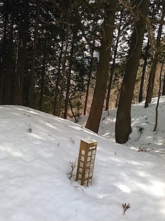 c0359615_17451024.jpg