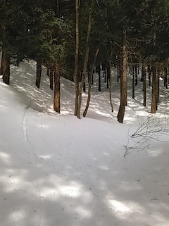 c0359615_17452468.jpg