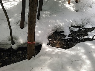 c0359615_17460864.jpg