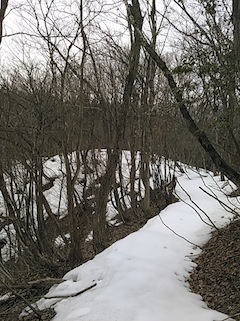 c0359615_17465718.jpg