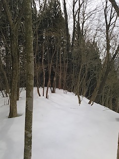c0359615_17471563.jpg