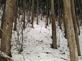 c0359615_17483781.jpg