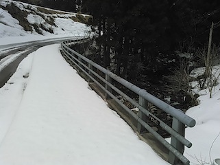 c0359615_17485259.jpg