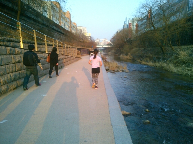 d0158621_08404928.jpg
