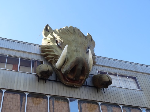 f0000521_6395031.jpg