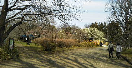 a0108328_21514540.jpg