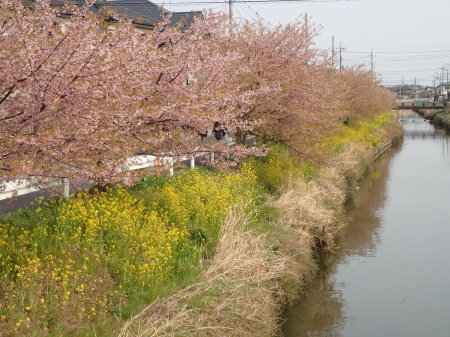 c0353632_15444471.jpg