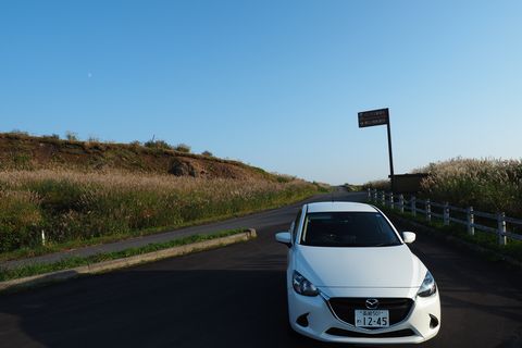 b0042334_8585560.jpg