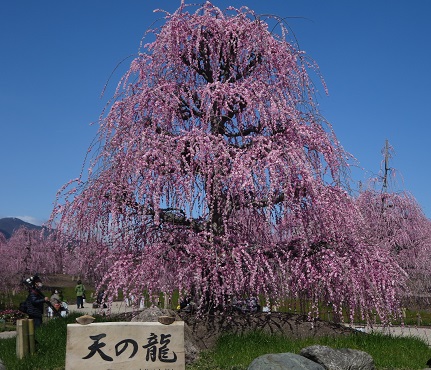 b0076334_1359139.jpg