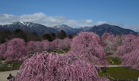 b0076334_14111676.jpg