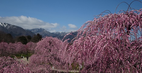 b0076334_1415929.jpg