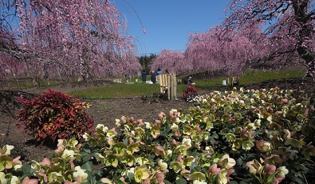 b0076334_1435484.jpg