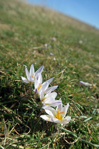 f0234936_8263098.jpg