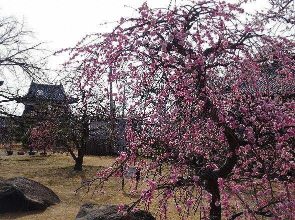 b0299042_13550121.jpg
