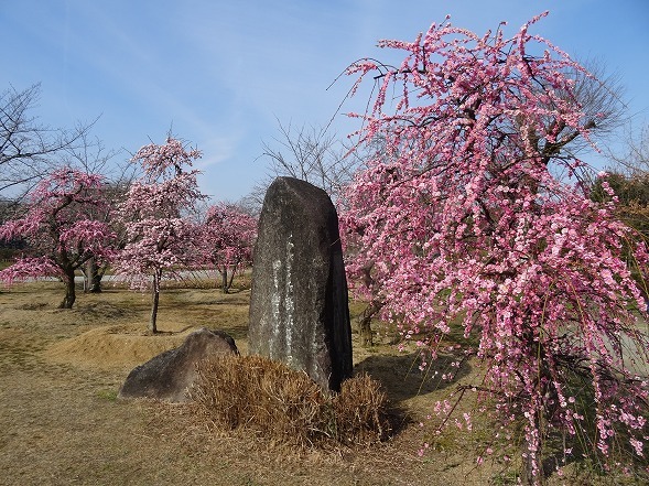 b0299042_13550894.jpg