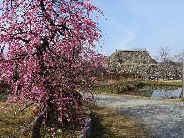 b0299042_13551837.jpg