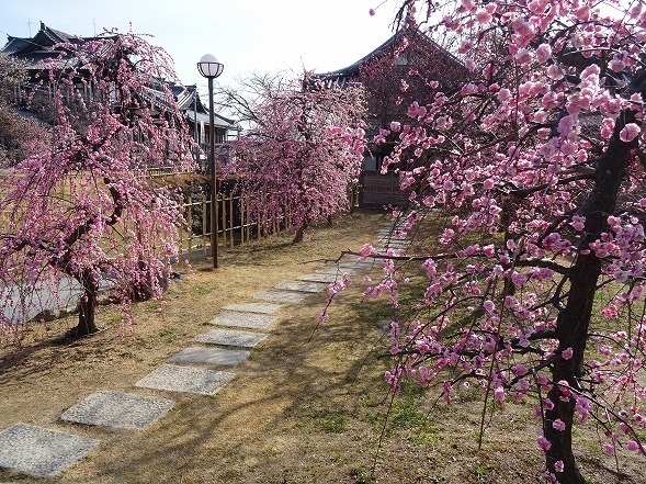 b0299042_13552585.jpg