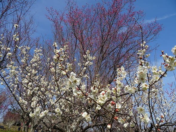 b0299042_13581730.jpg