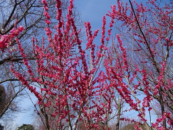 b0299042_13583137.jpg