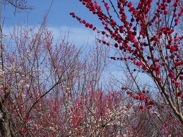 b0299042_13583920.jpg