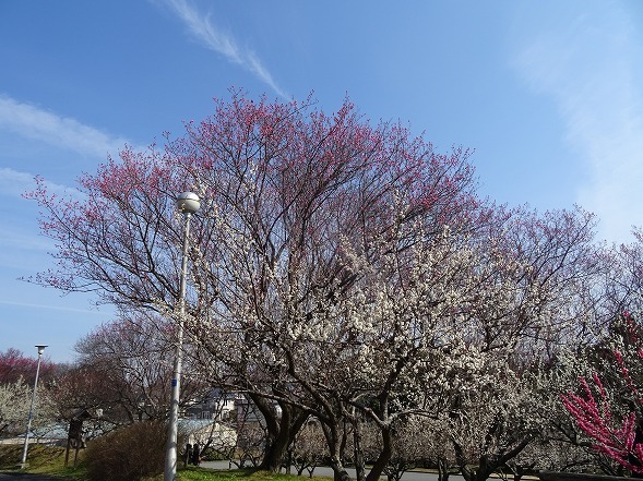 b0299042_13585395.jpg