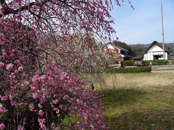 b0299042_13591248.jpg