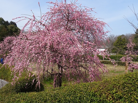 b0299042_13592678.jpg