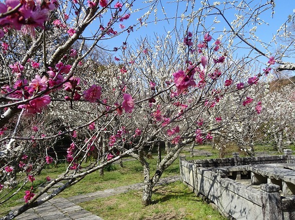 b0299042_14212798.jpg